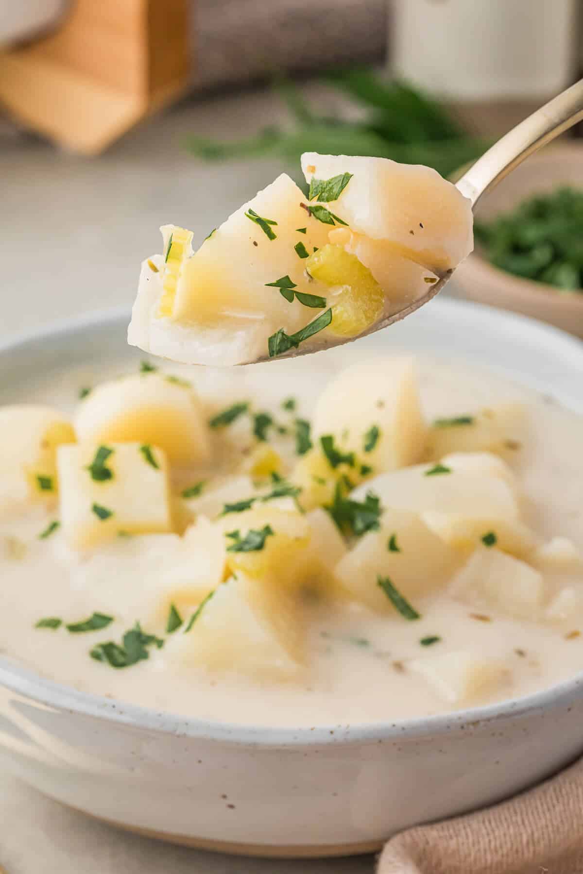 A spoon with German Potato Soup