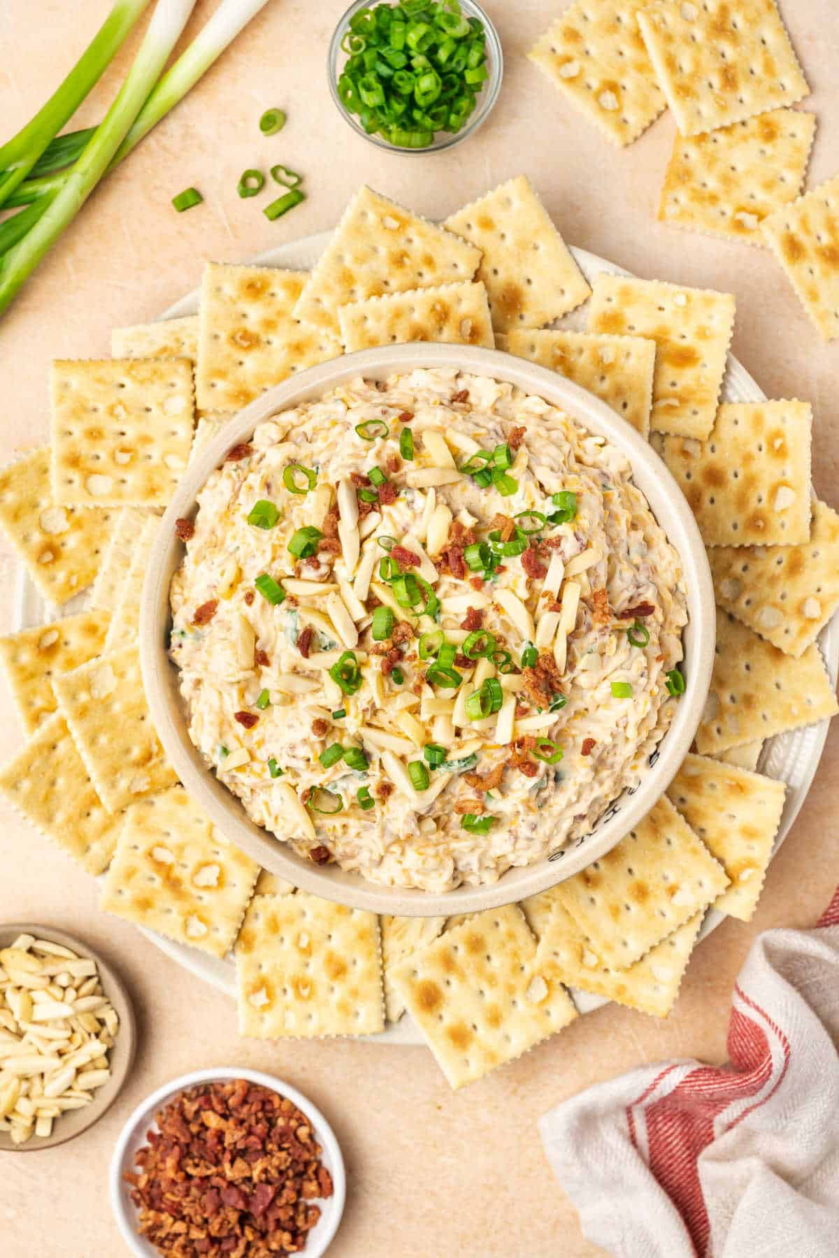 Million dollar dip surrounded by crackers. 