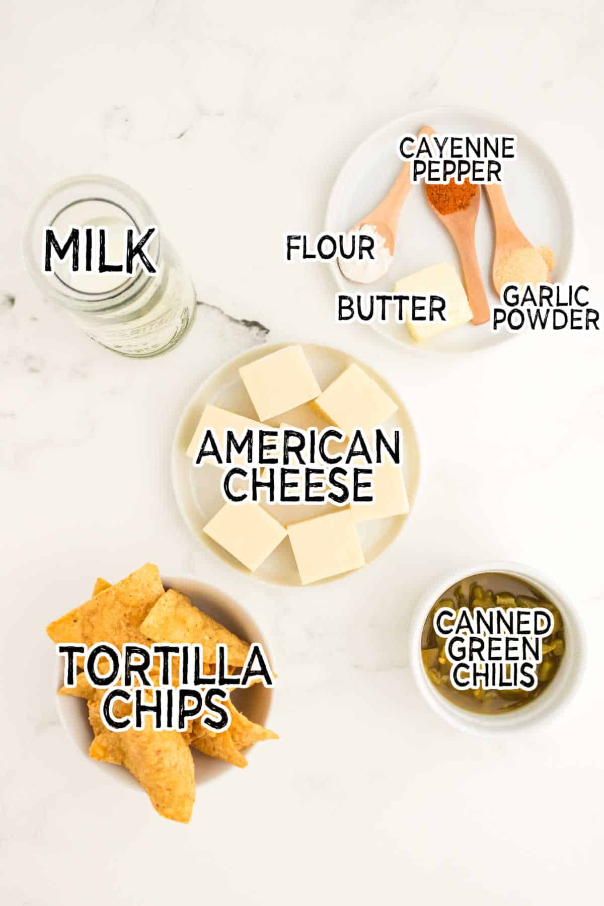 Ingredients to make queso.
