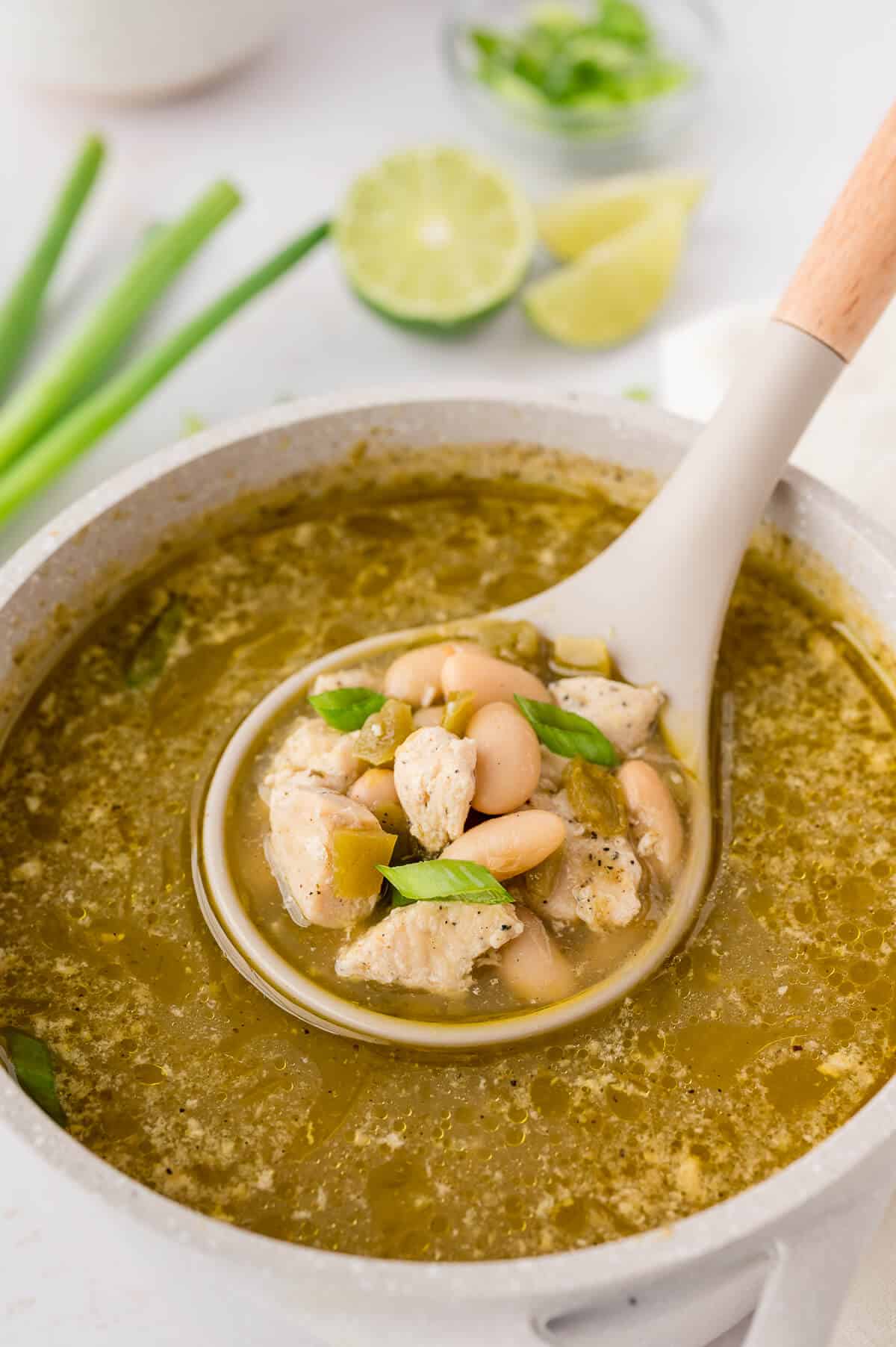 A ladle in a pot of salsa verde chicken soup.