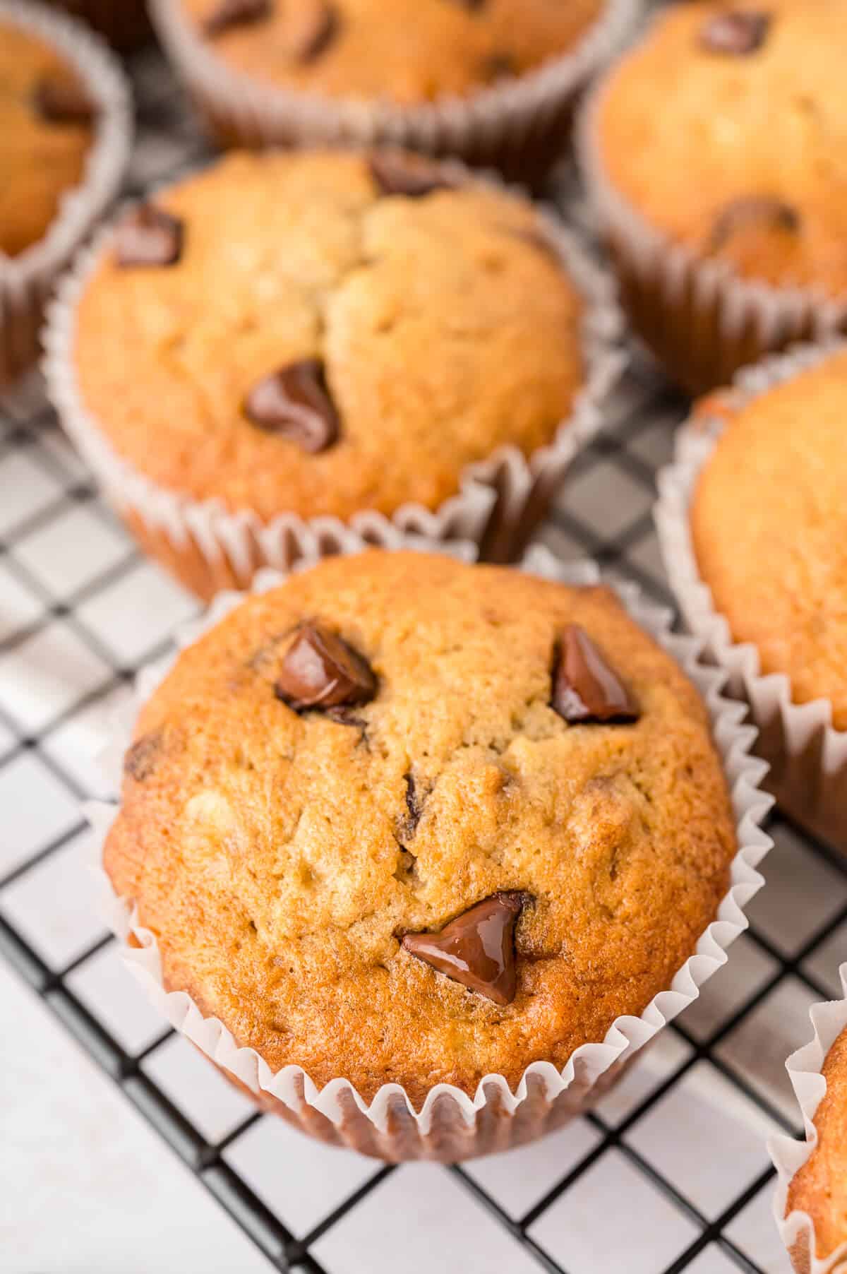 A banana chocolate chip muffin on a wire rack.