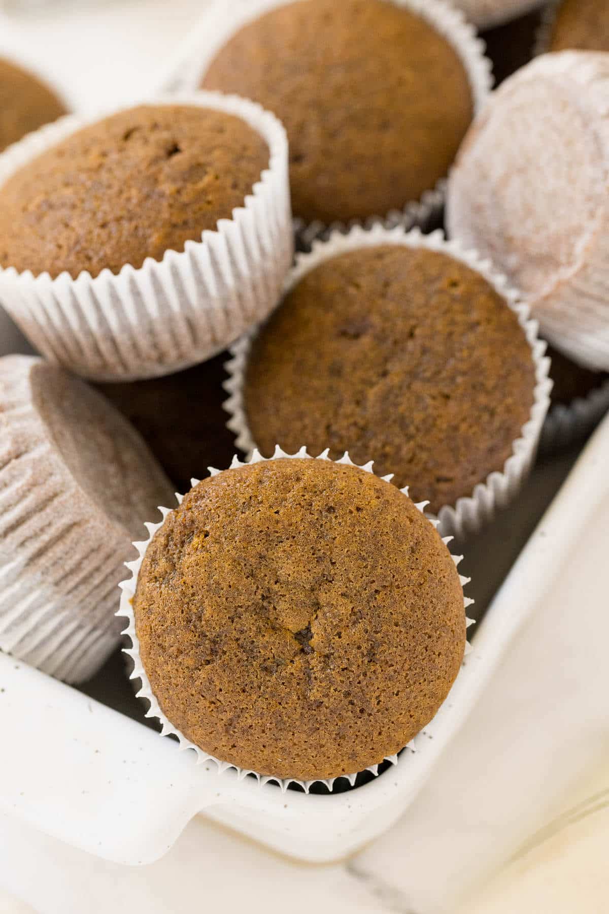 A pile of gingerbread muffins in a container.