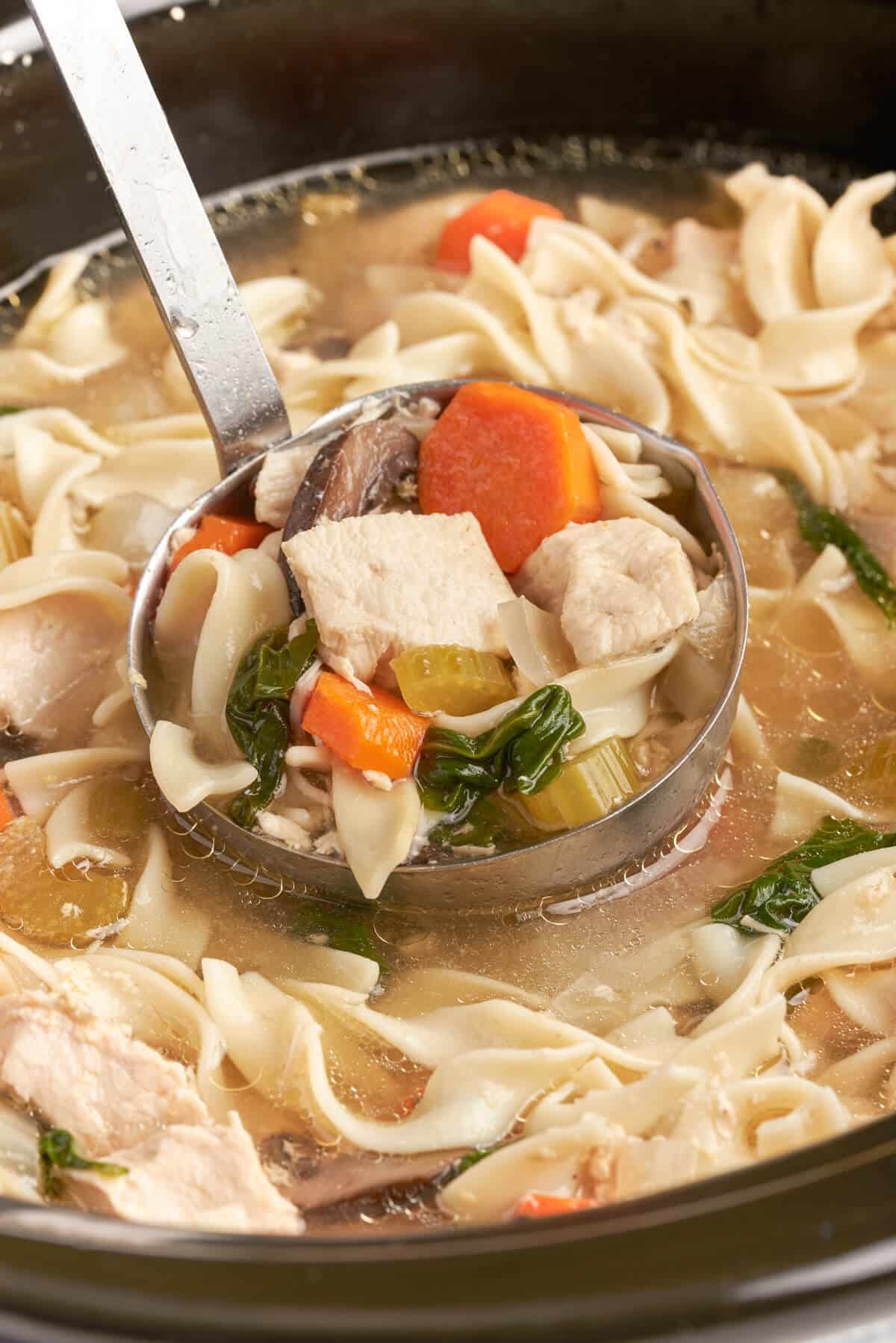 Rosemary Chicken Noodle Soup in a ladle in a Crockpot.