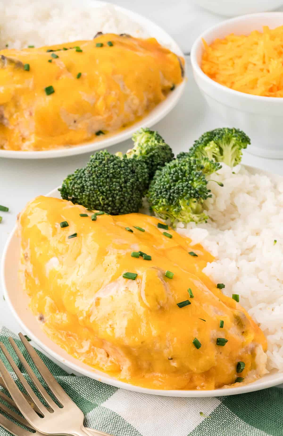 Sour cream chicken on a plate with broccoli and white rice.