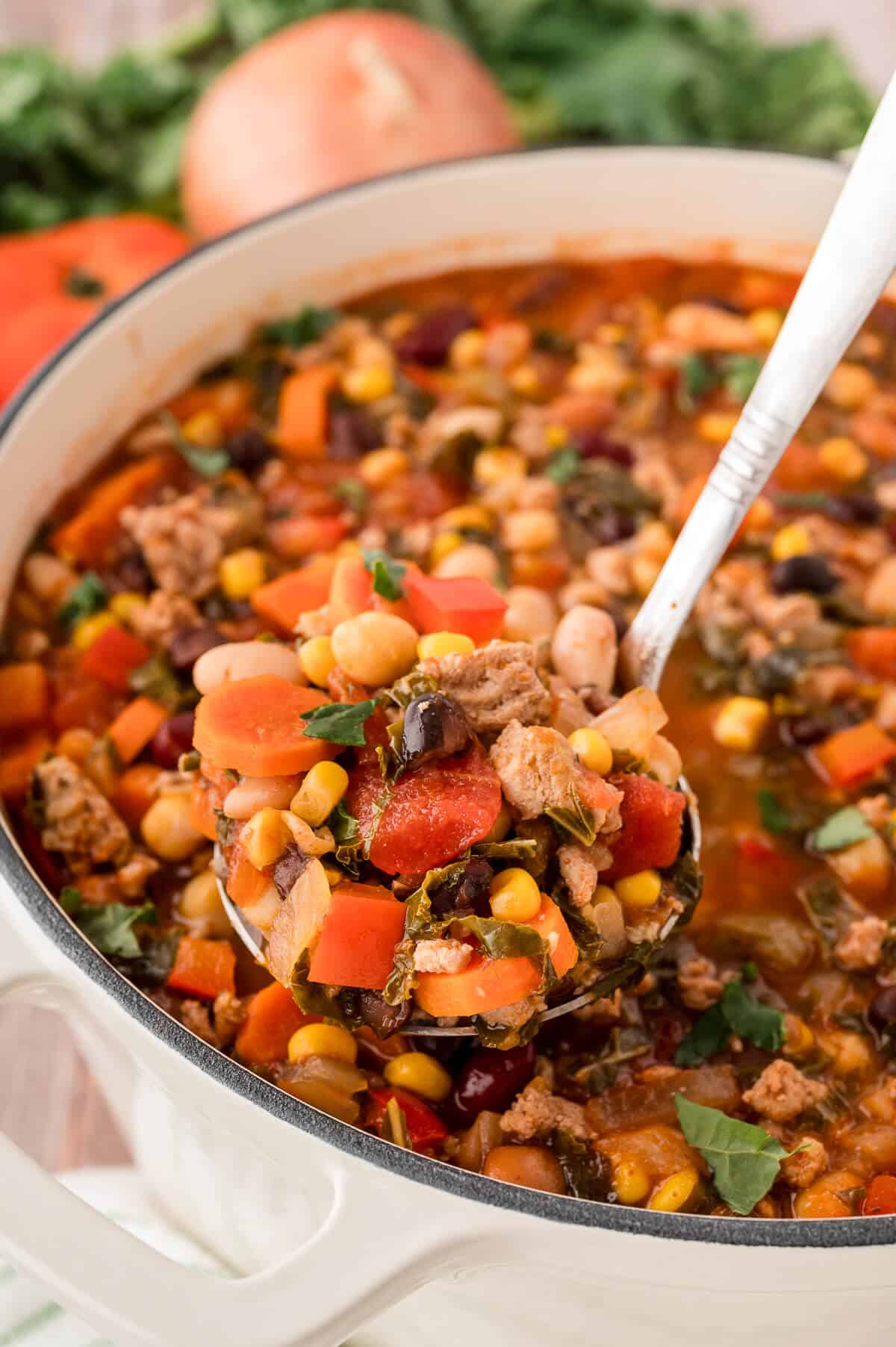 A pot of southwestern turkey 5 bean chili with a ladle.