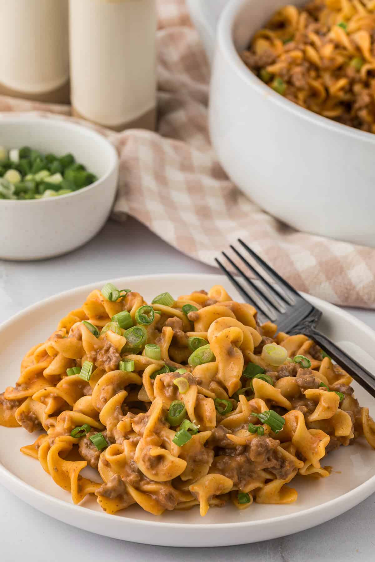 A plate of 5 soup pasta with a fork.