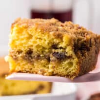 A slice of cake on a serving spatula.
