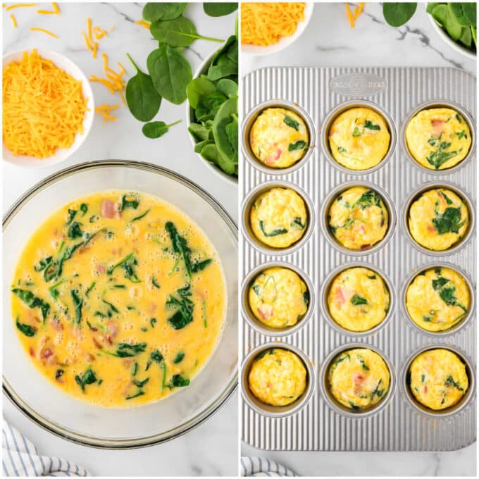 Spinach & Cheese Egg Muffins - Simply Stacie