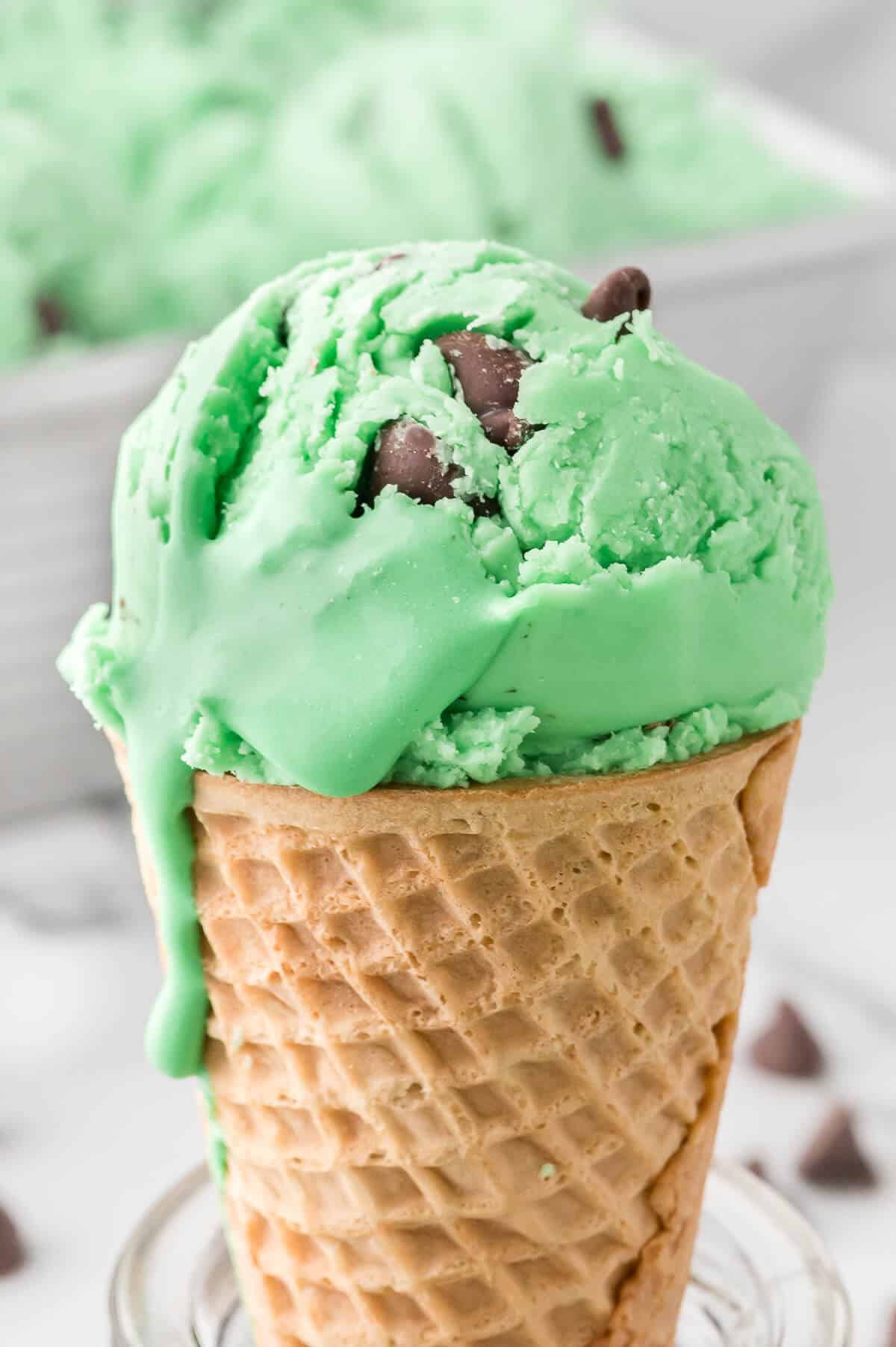 Mint chocolate chip ice cream cone.