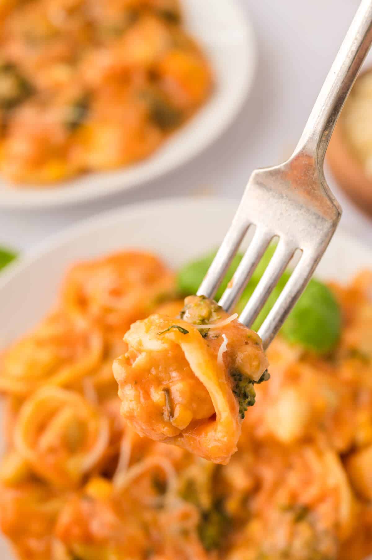 A piece of tortellini casserole on a fork.