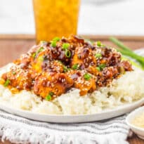 The recipe on a bed of rice on a plate.