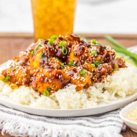 The recipe on a bed of rice on a plate.