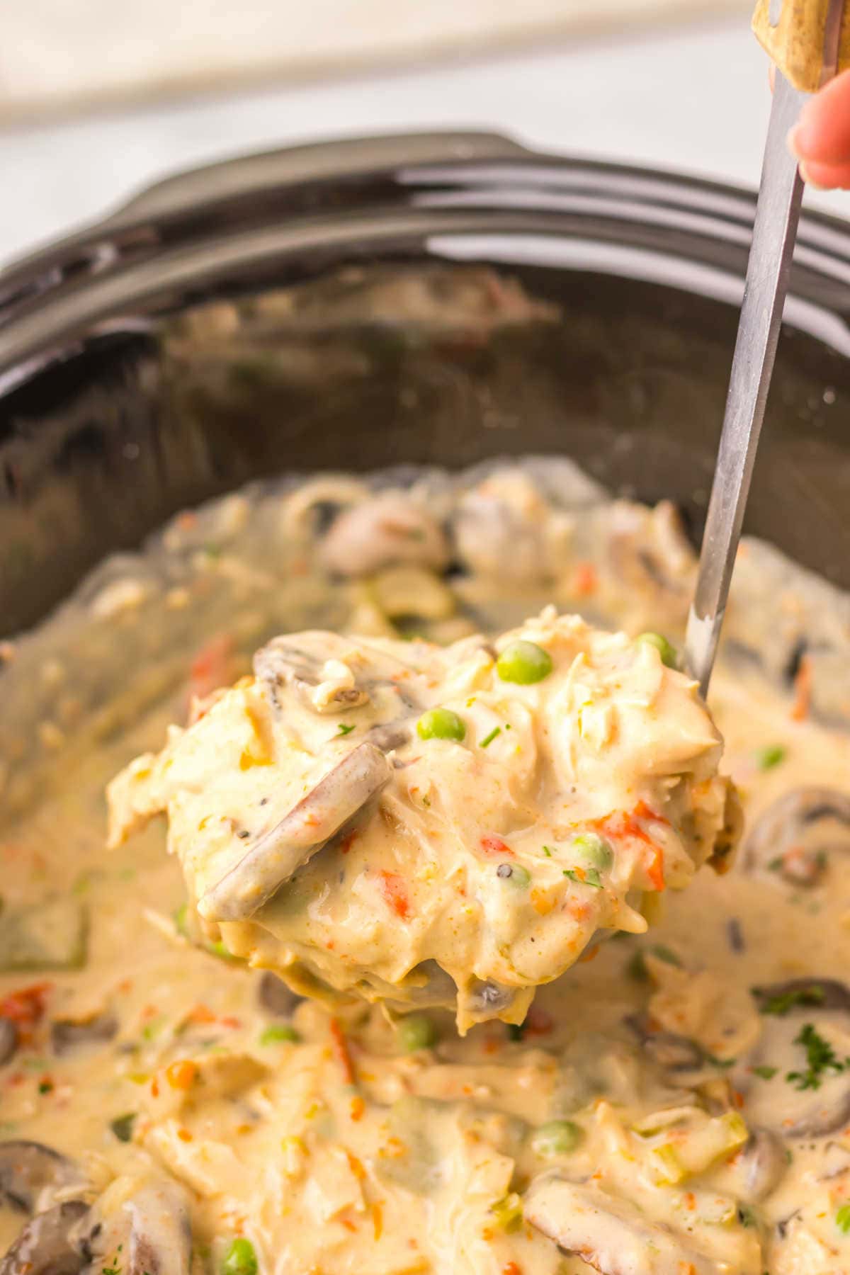 The recipe in a ladle.