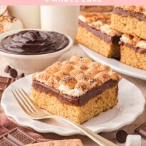 Pin image of s'mores cake.