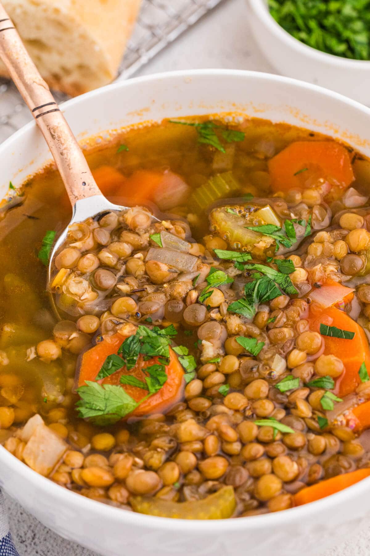 Close-up of a spoon scooping lentil soup with carrots, celery, and parsley in a warm broth.
