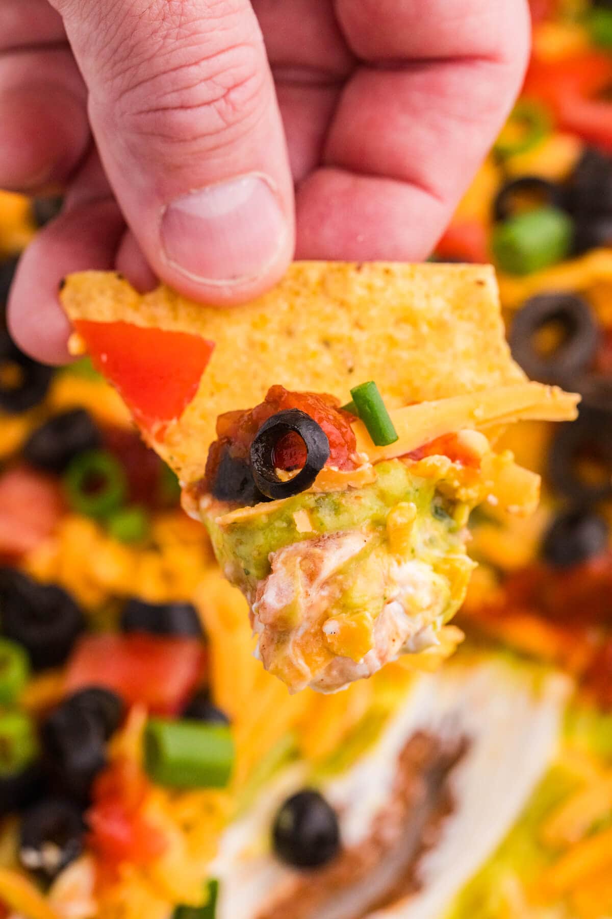Tortilla chip scooping up 7 Layer Dip with refried beans, cream cheese, guacamole, cheddar, salsa, tomato, black olives, and green onions.