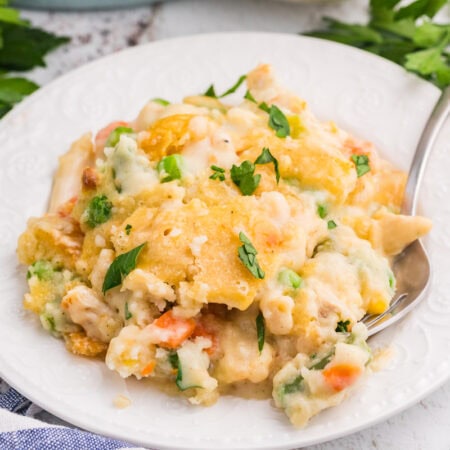 TikTok Chicken Cobbler served on a white plate with creamy chicken, mixed vegetables, golden Cheddar Bay biscuit topping, and fresh parsley.